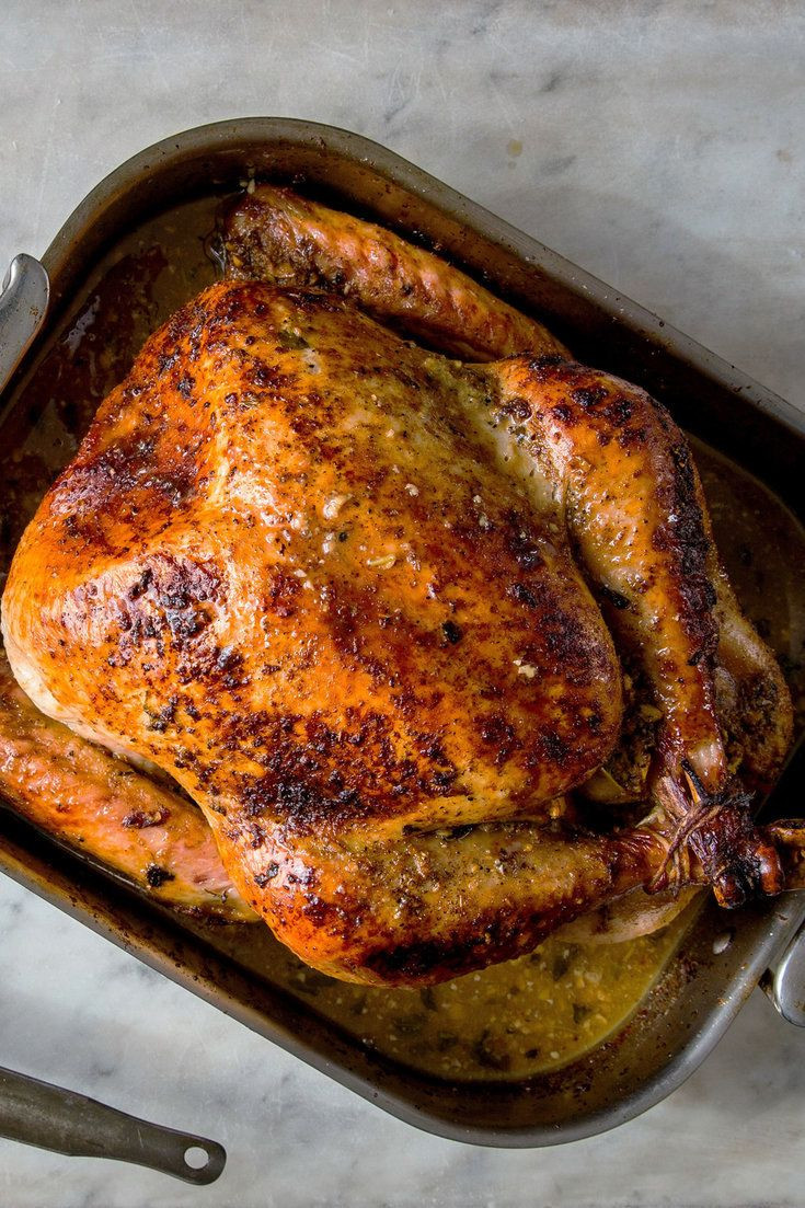 Best 30 Thanksgiving Turkey Marinade - Best Diet and ...