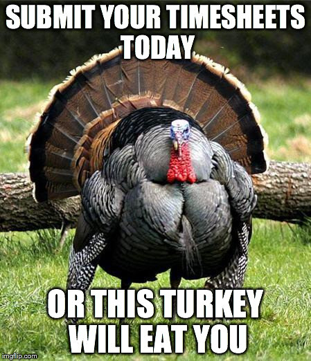 The 30 Best Ideas For Thanksgiving Turkey Memes Best