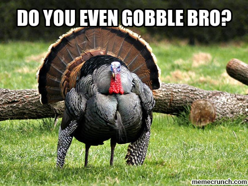 The 30 Best Ideas For Thanksgiving Turkey Memes Best Diet And Healthy Recipes Ever Recipes