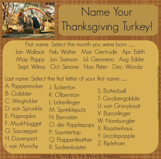 Thanksgiving Turkey Names
 Pinterest • The world’s catalog of ideas