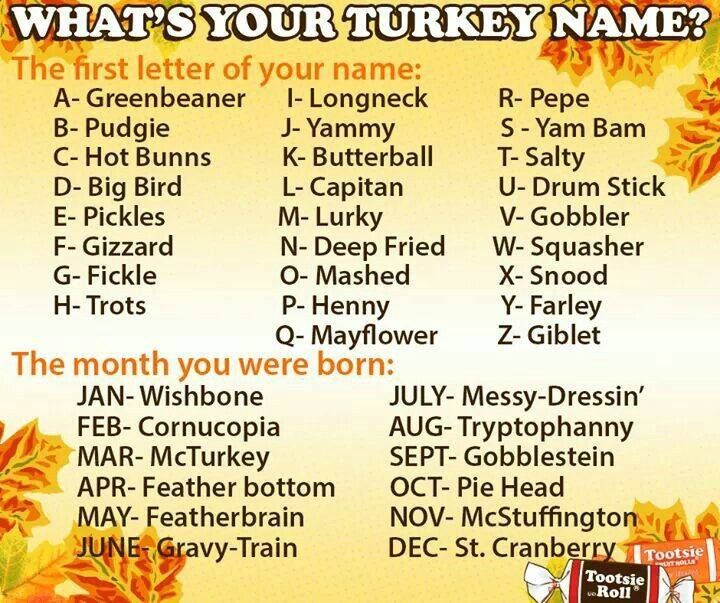 Thanksgiving Turkey Names
 What Is You Turkey Name s and for