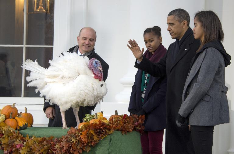 Thanksgiving Turkey Pardon
 Obama saves turkeys from Thanksgiving chop Emirates 24 7