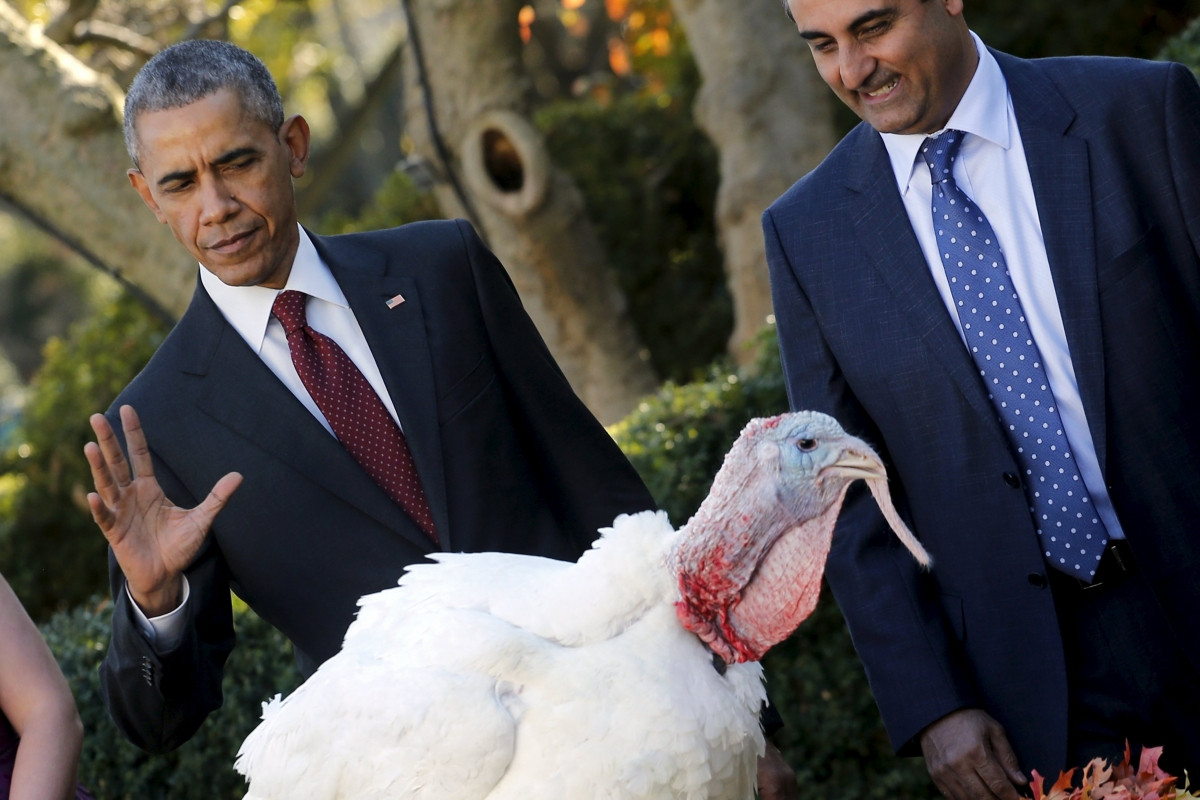 Thanksgiving Turkey Pardon
 Thanksgiving 2015 President Barack Obama pardons turkeys