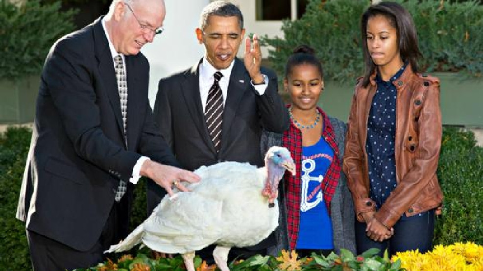Thanksgiving Turkey Pardon
 Thanksgiving turkey Presidential pardon vote on White