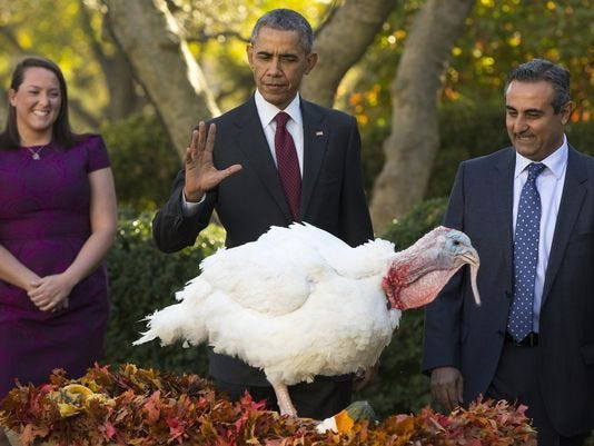 Thanksgiving Turkey Pardon
 Obama pardons TOTUS — the Turkey of the United States