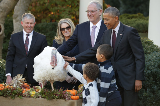 Thanksgiving Turkey Pardon
 President Obama makes final Thanksgiving turkey pardon