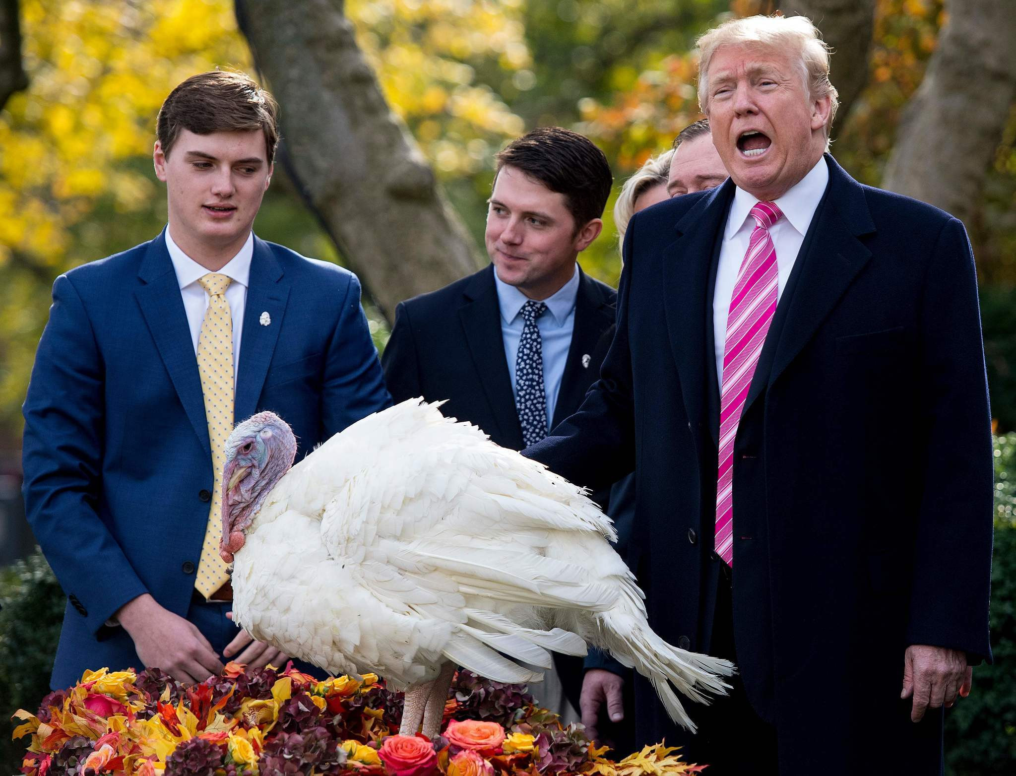 Thanksgiving Turkey Pardon
 Trump pardons Thanksgiving turkeys Drumstick and Wishbone