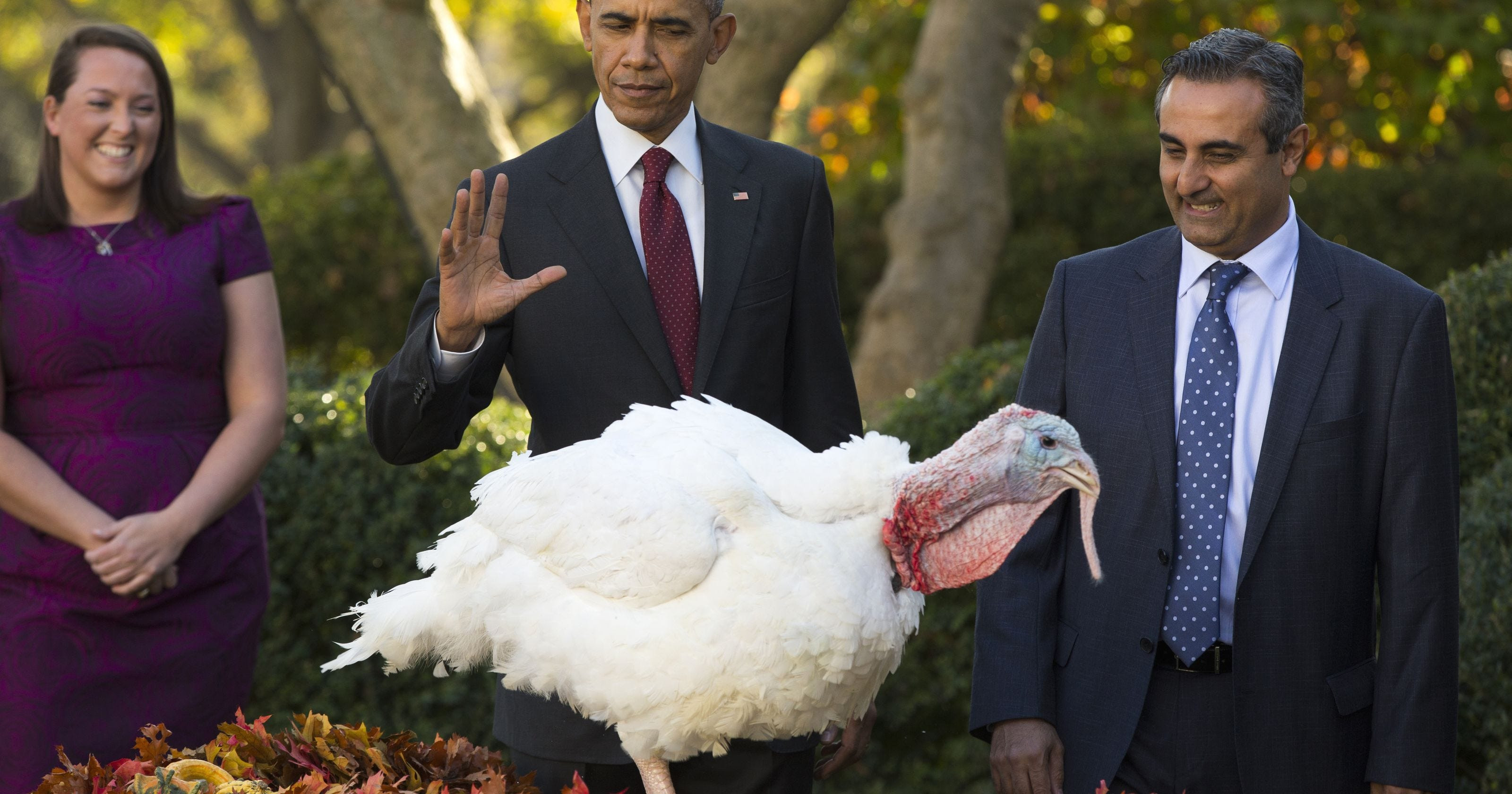 Thanksgiving Turkey Pardon
 Watch President Obama pardons his final Thanksgiving turkey