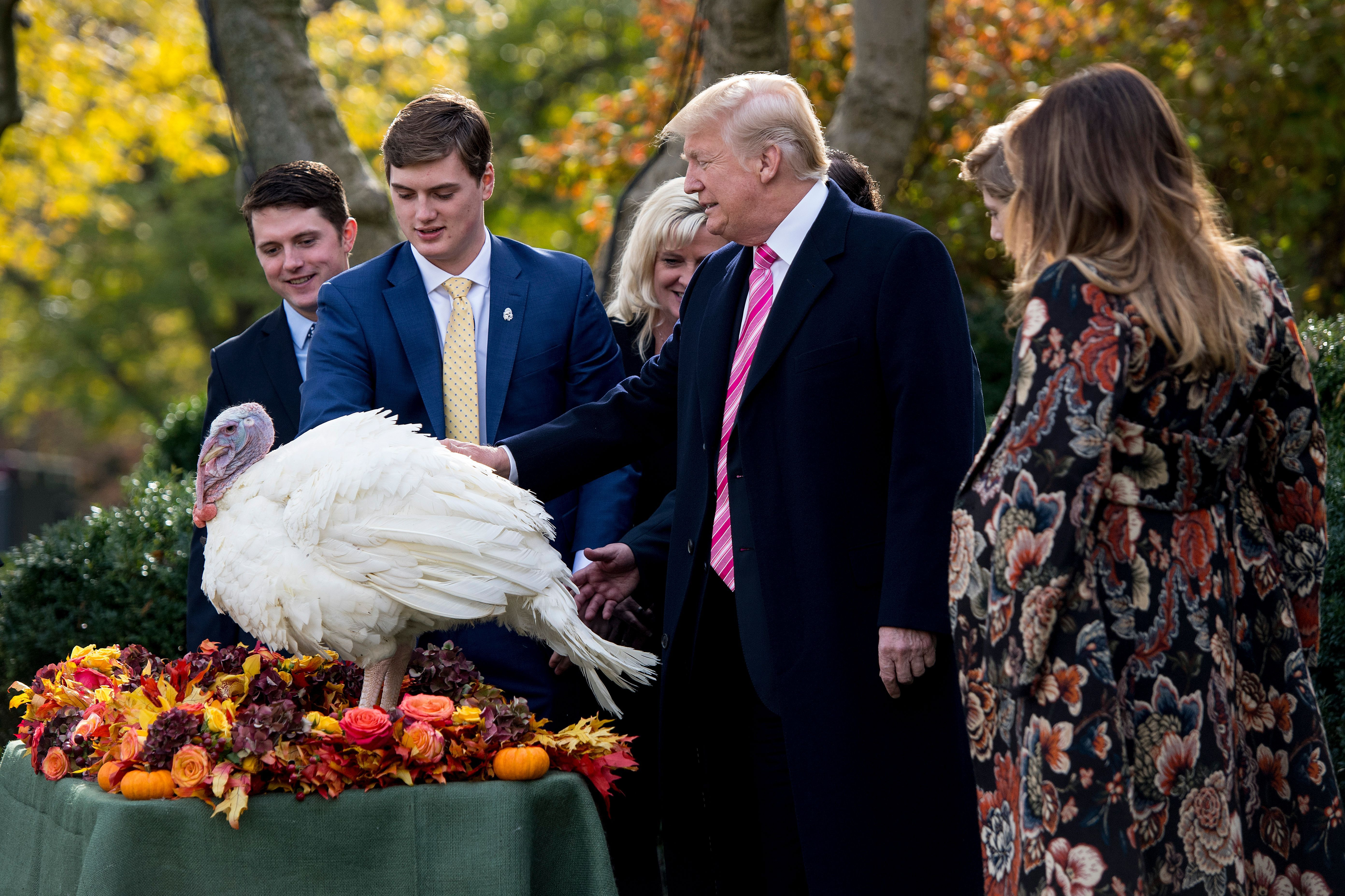 Thanksgiving Turkey Pardon
 President Trump Pardons Drumstick the Thanksgiving Turkey
