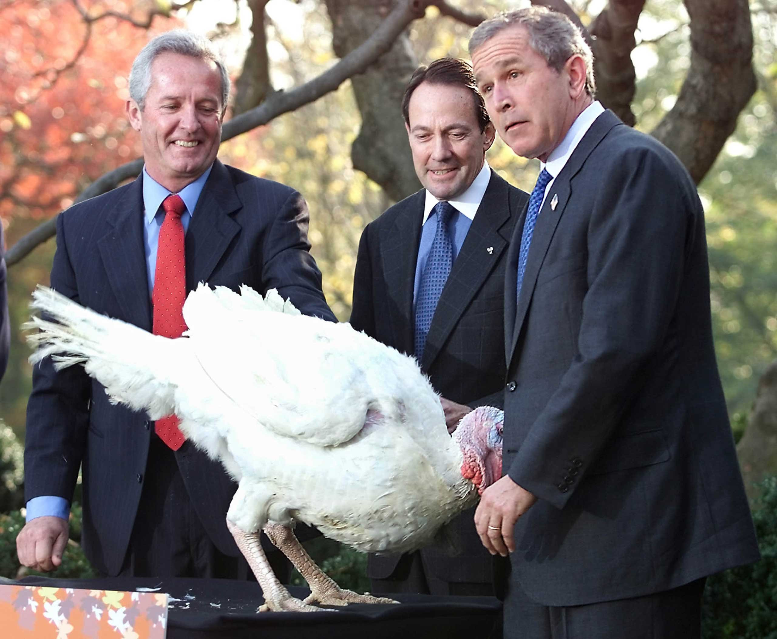 Thanksgiving Turkey Pardon
 This is How You Prepare a Hotel Room for Presidential