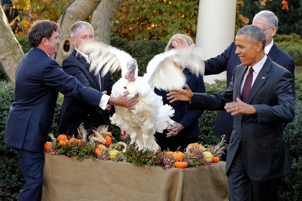 Thanksgiving Turkey Pardon
 President Obama Pardons His Last Two Turkeys – Tater and