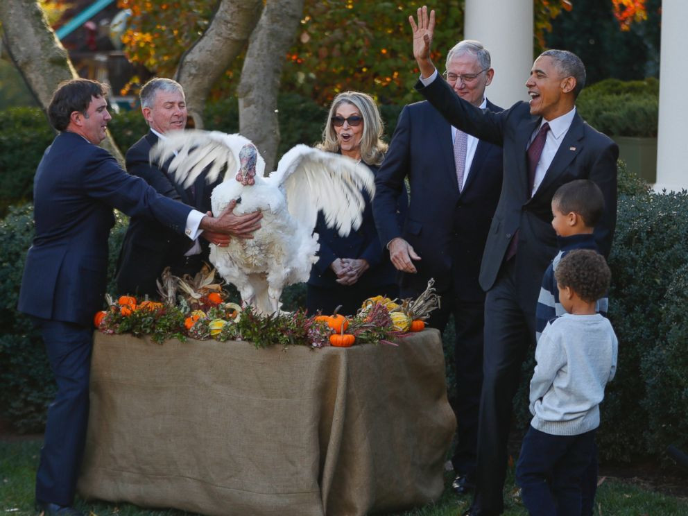 Thanksgiving Turkey Pardon
 President Obama Pardons Thanksgiving Turkeys for the Last