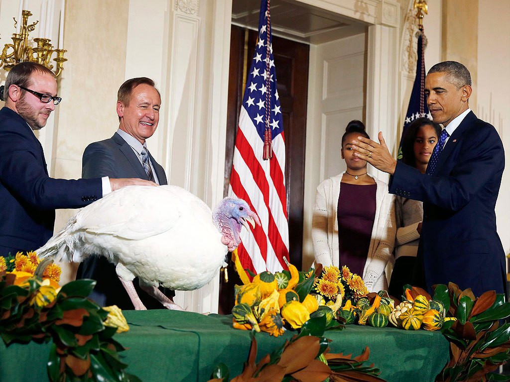 Thanksgiving Turkey Pardon
 Everything You Need to Know about the Presidential Turkey
