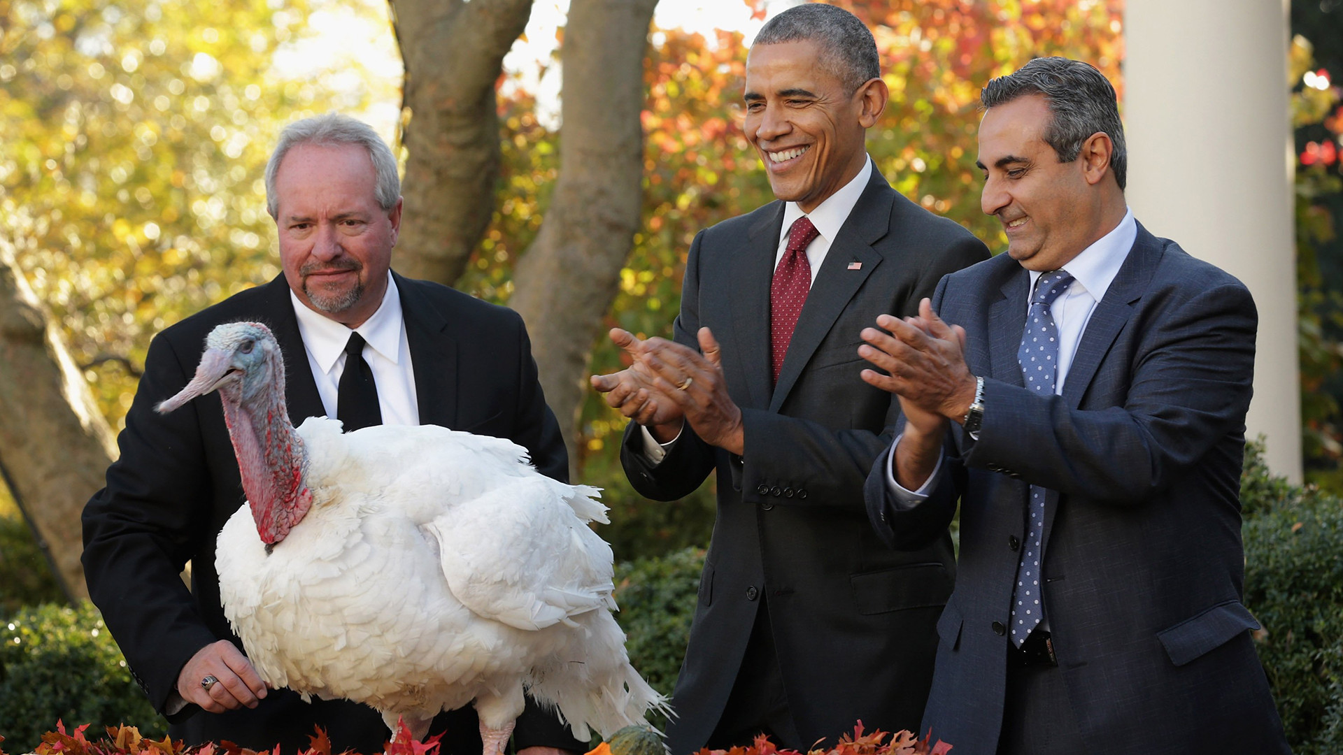 Thanksgiving Turkey Pardon
 Turkey pardon saves Honest Abe Obama saves birds in time