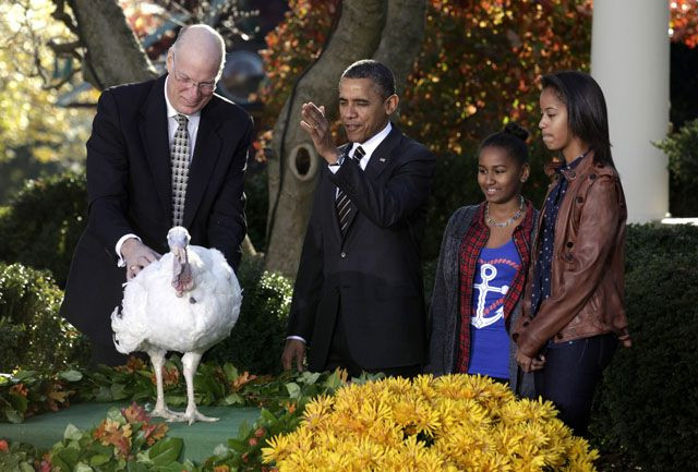 Thanksgiving Turkey Pardon
 Obama pardons turkeys Cobbler and Gobbler