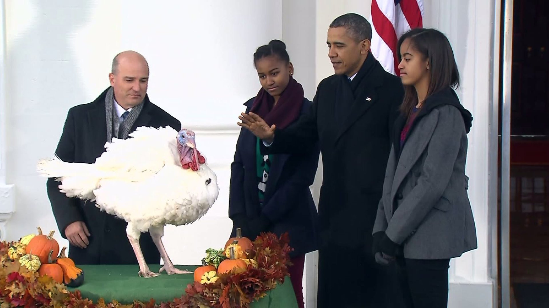 Thanksgiving Turkey Pardon
 Where Pardoned Turkeys Go to Die