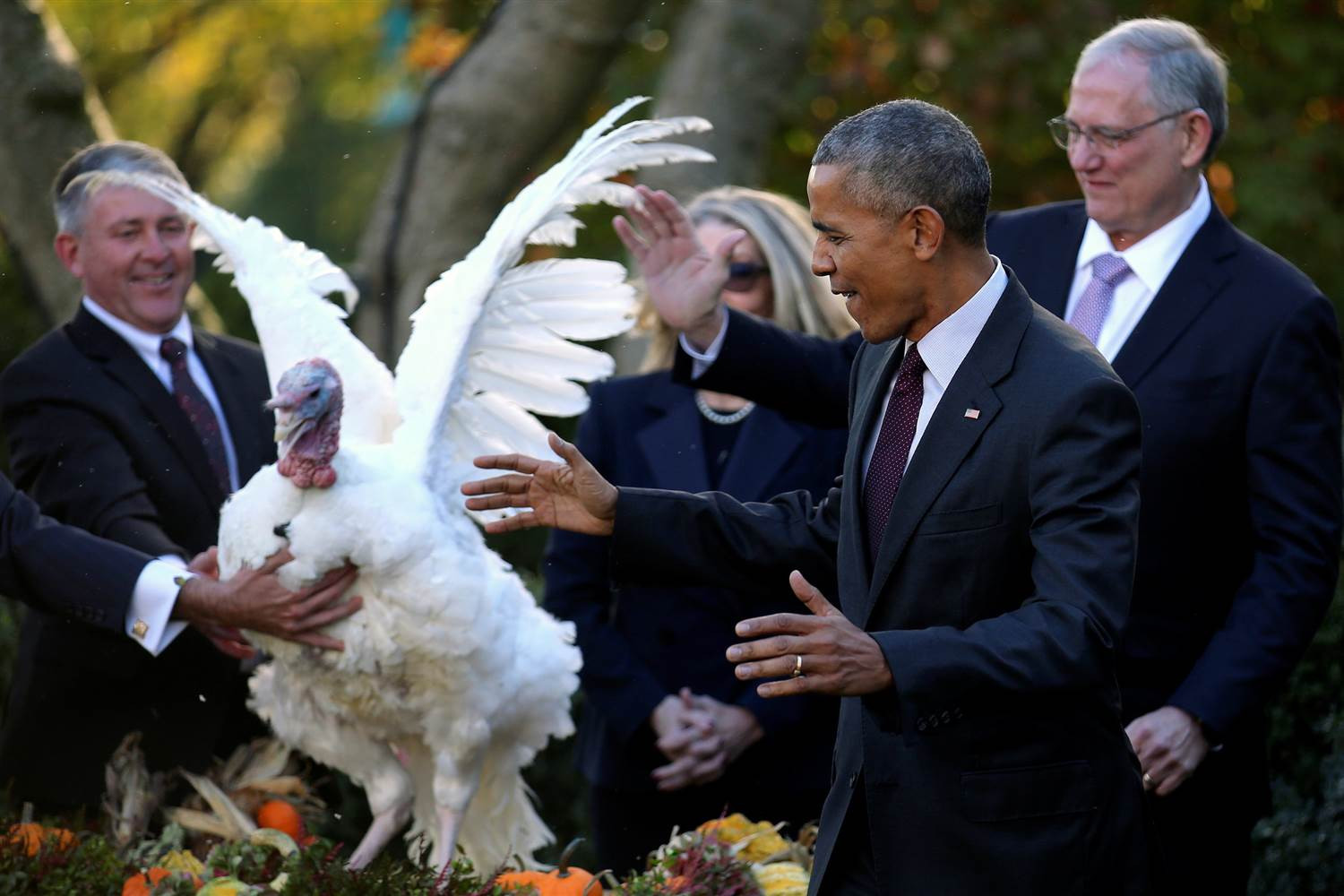 Thanksgiving Turkey Pardon
 Obama Pardons His Final Turkeys Tater and Tot While