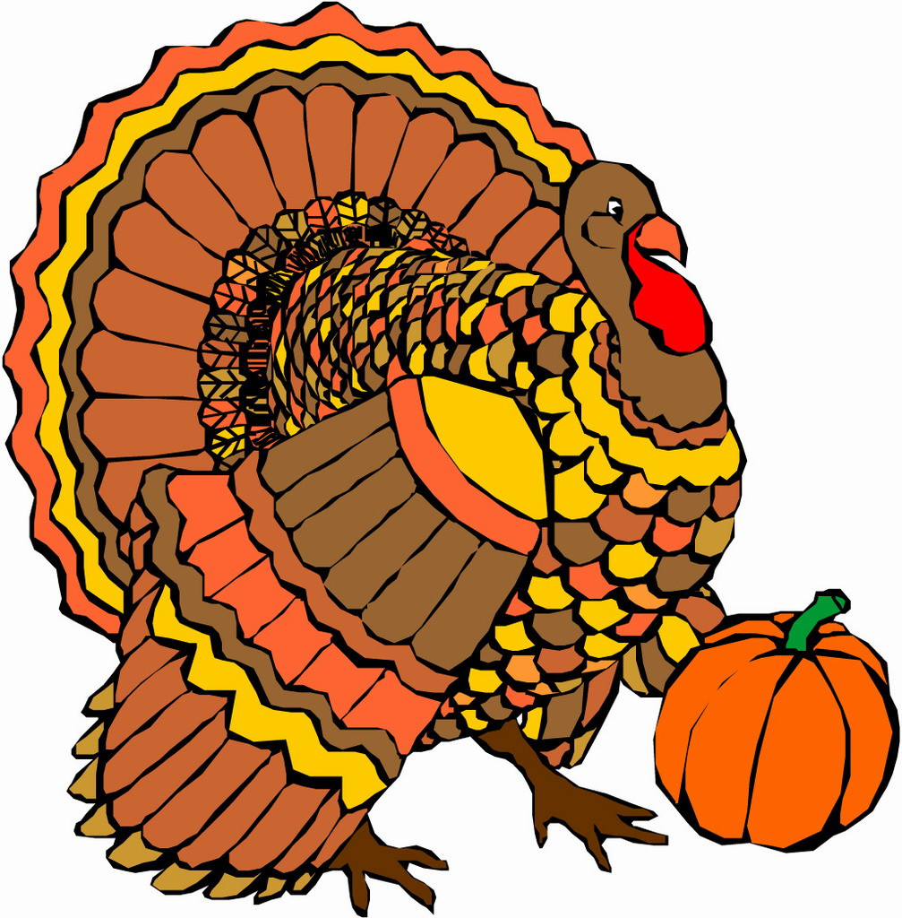 Thanksgiving Turkey Pictures Free
 Thanksgiving Turkey ClipArt Best