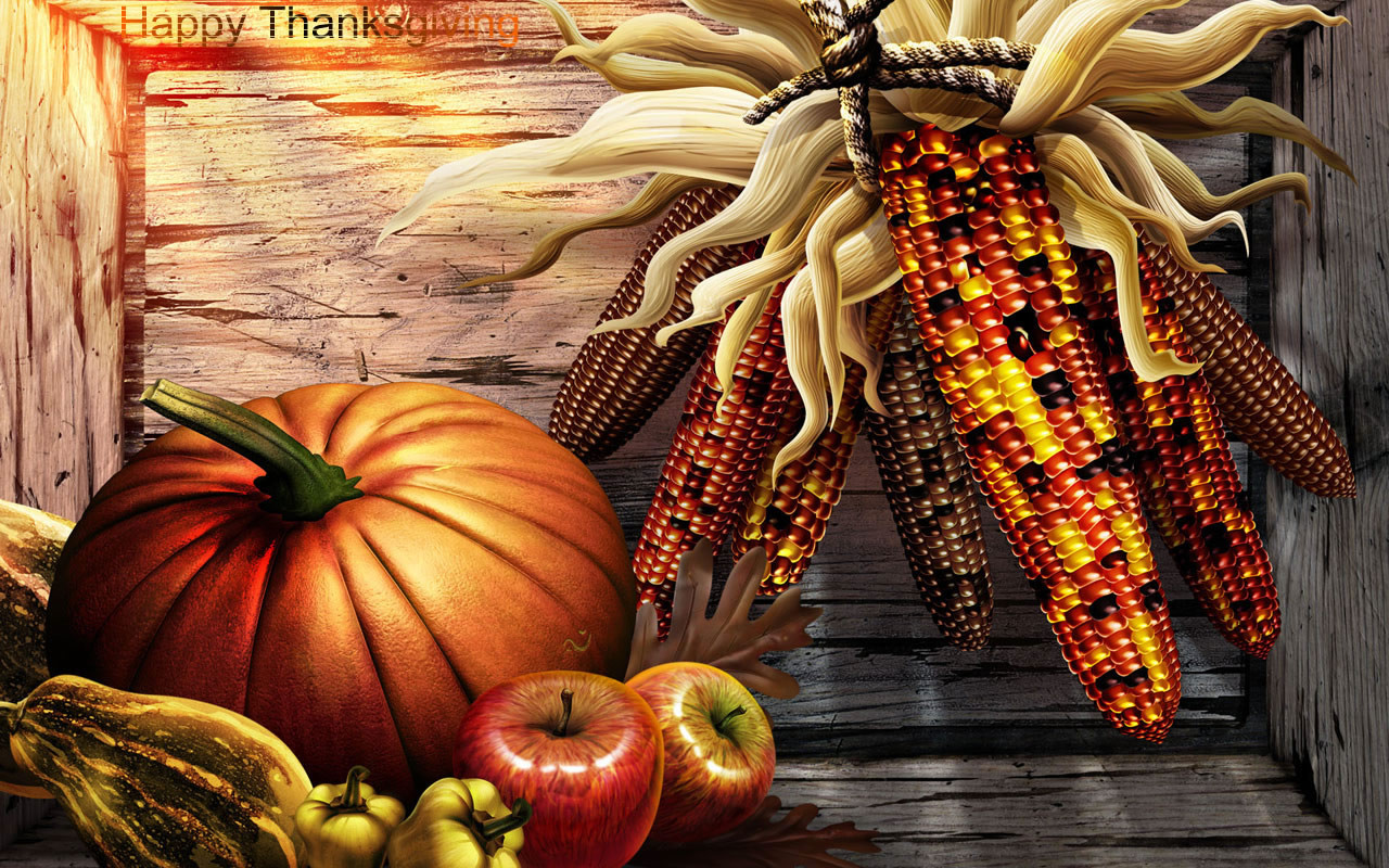 Thanksgiving Turkey Pictures Free
 kosldsouuss 2008 Thanksgiving Wallpaper