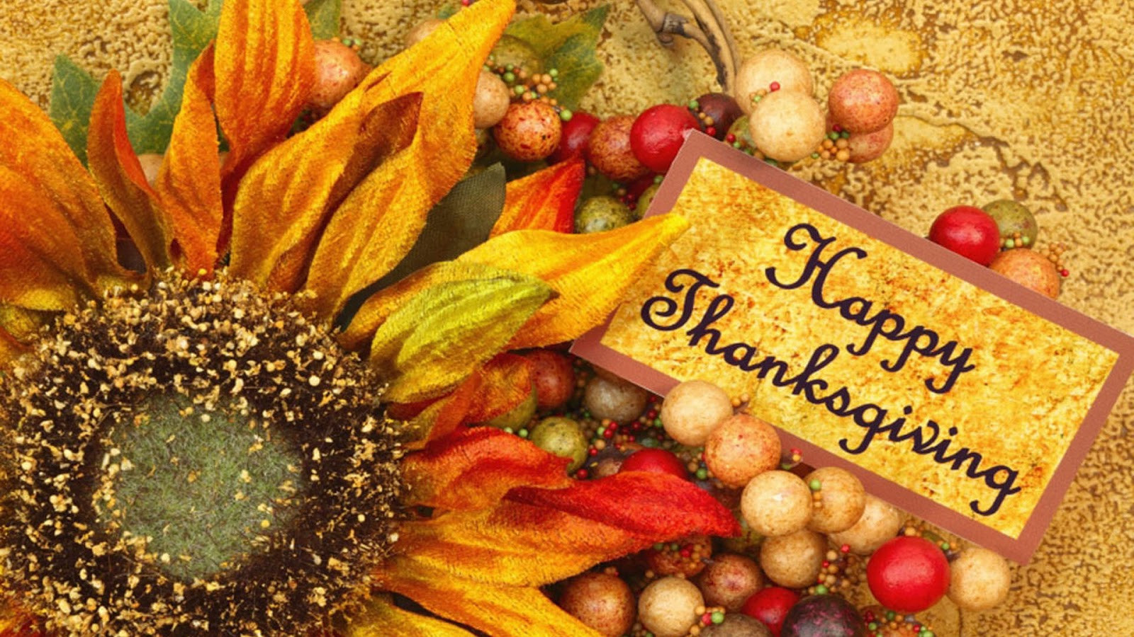 Thanksgiving Turkey Pictures Free
 Thanksgiving Day 2012 Free HD Thanksgiving Wallpapers for