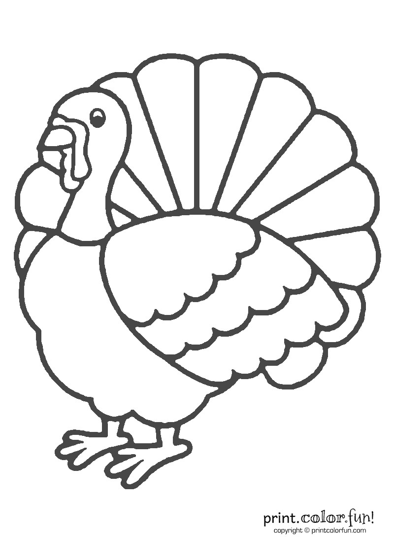 Thanksgiving Turkey Pictures To Color
 Thanksgiving turkey coloring coloring page Print Color