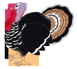 Thanksgiving Turkey Png
 Happy Thanksgiving Clipart