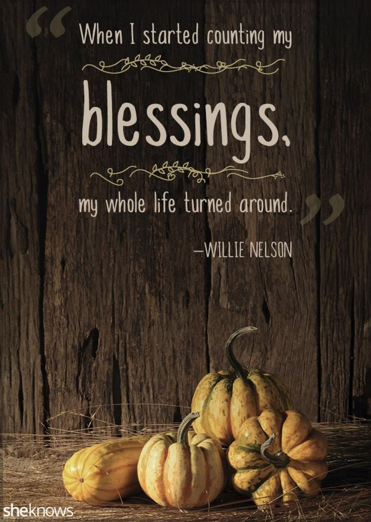 Thanksgiving Turkey Quotes
 1000 Thanksgiving Quotes on Pinterest