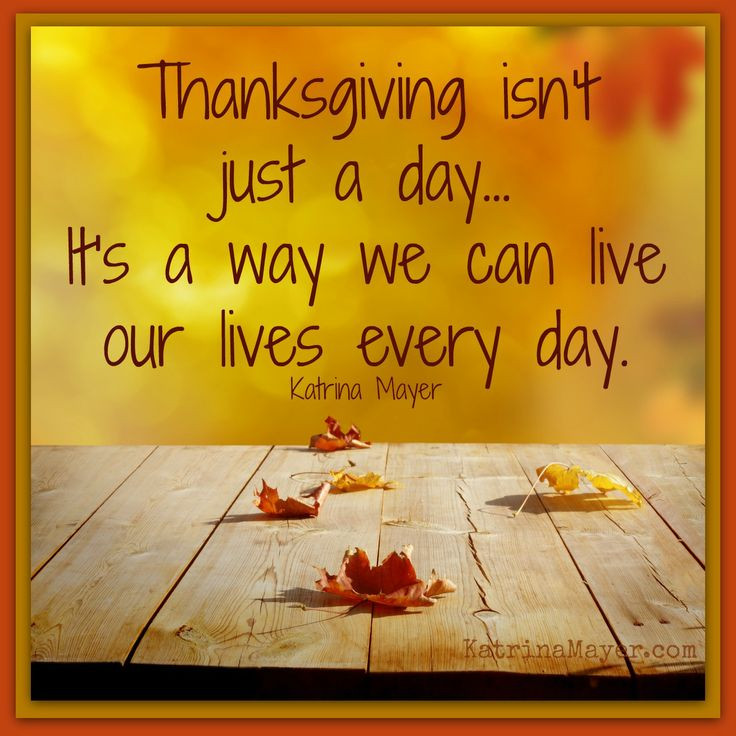 Thanksgiving Turkey Quotes
 100 Best Thanks Giving Quotes – The WoW Style