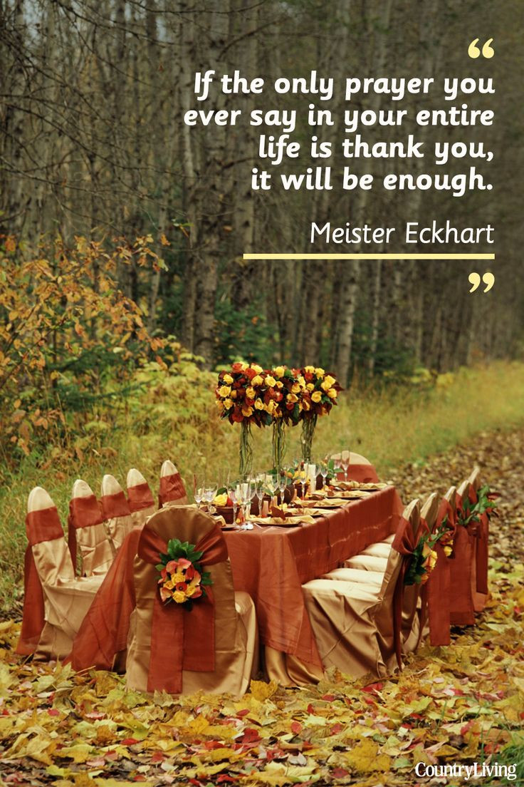 Thanksgiving Turkey Quotes
 25 best Thanksgiving quotes family on Pinterest
