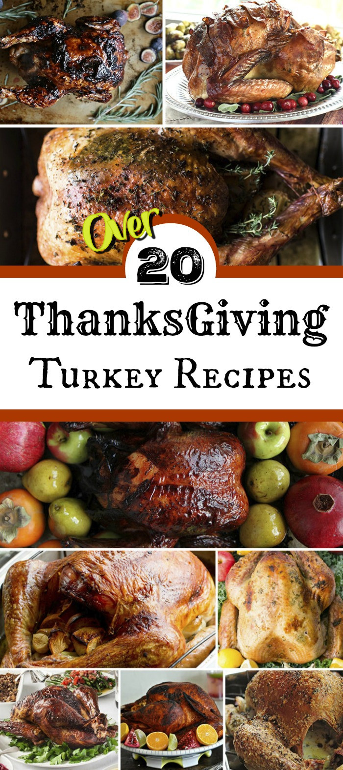 Thanksgiving Turkey Recipes
 Thanksgiving Turkey Recipes for the Best Thanksgiving