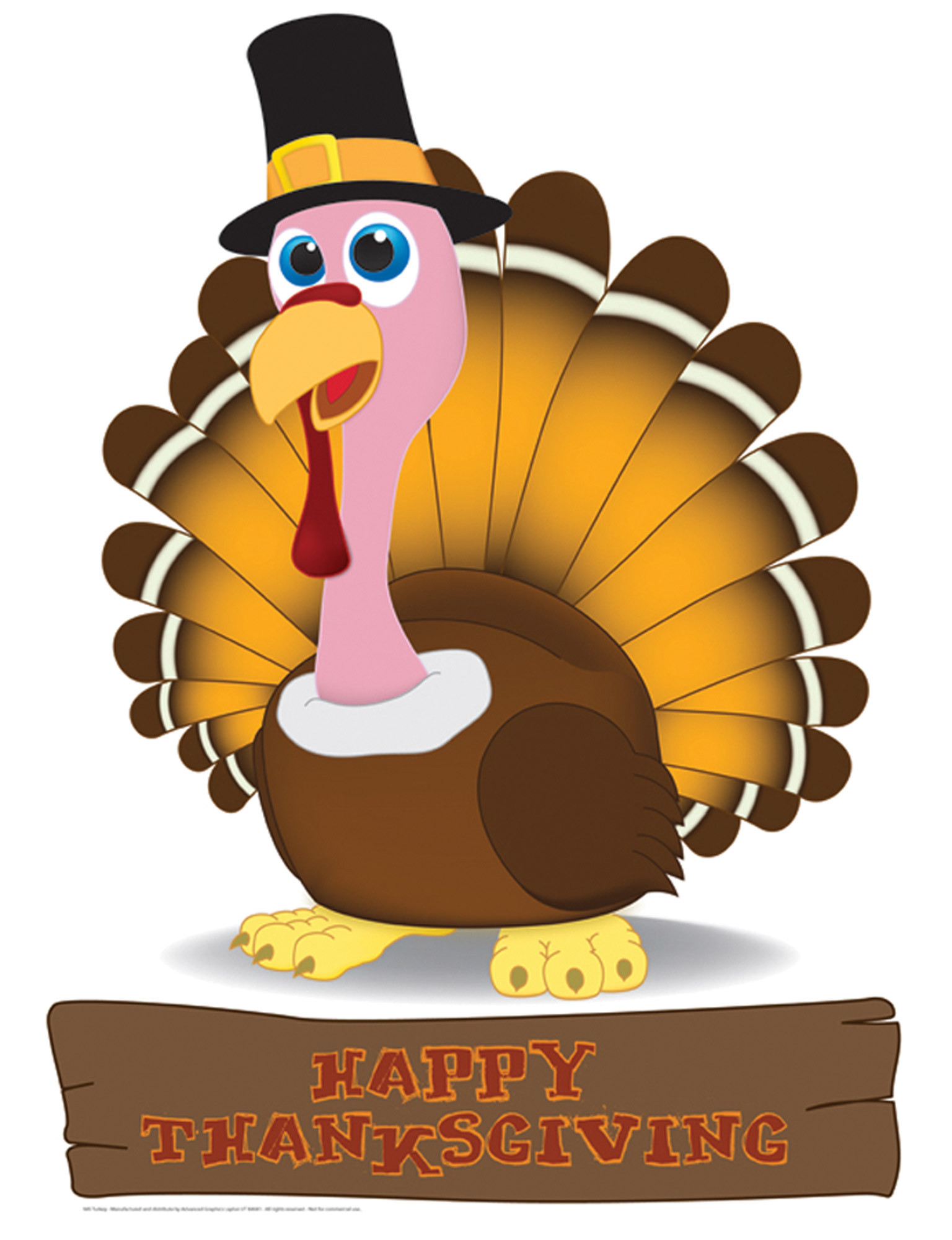 Thanksgiving Turkey Size
 Turkey Thanksgiving 945