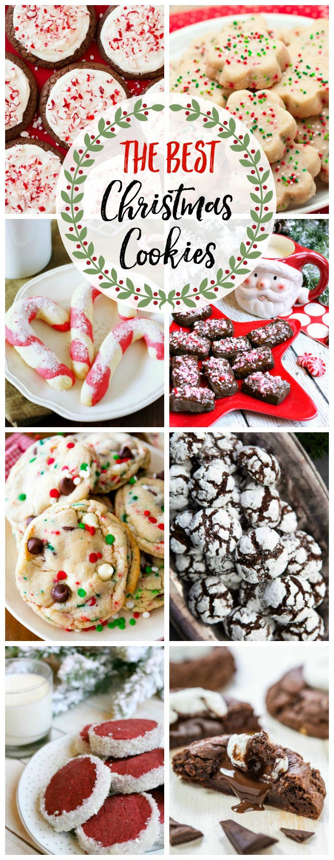 The Best Christmas Cookies
 The Best Christmas Cookie Recipes and 200 Other