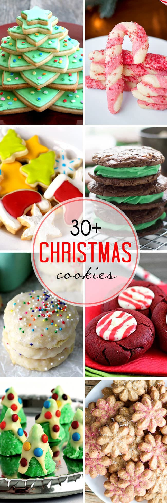 The Best Christmas Cookies
 Over 30 of the Best Christmas Cookies from Your Favorite