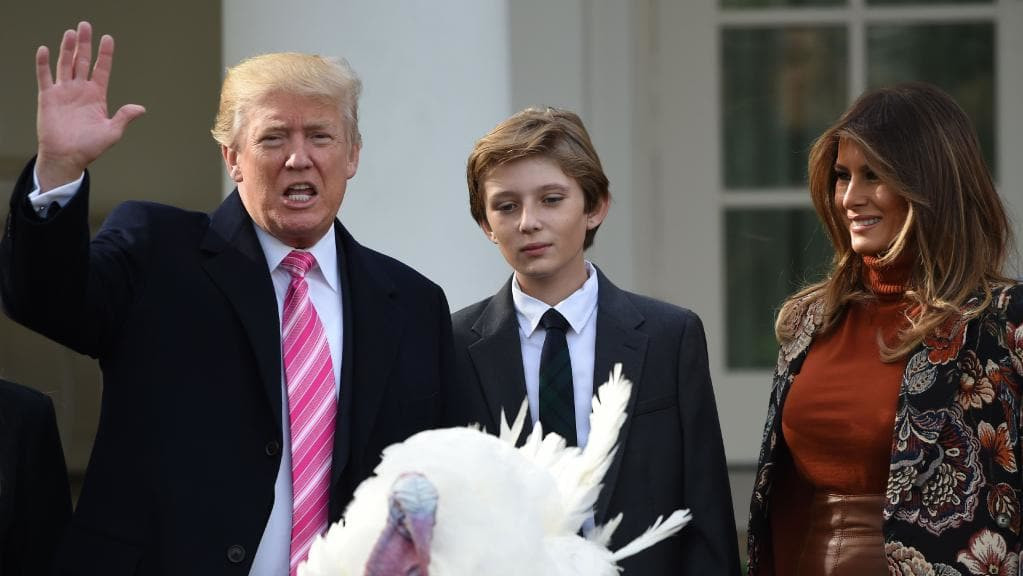 Trump Thanksgiving Turkey
 Donald Trump pardons his first turkey for Thanksgiving