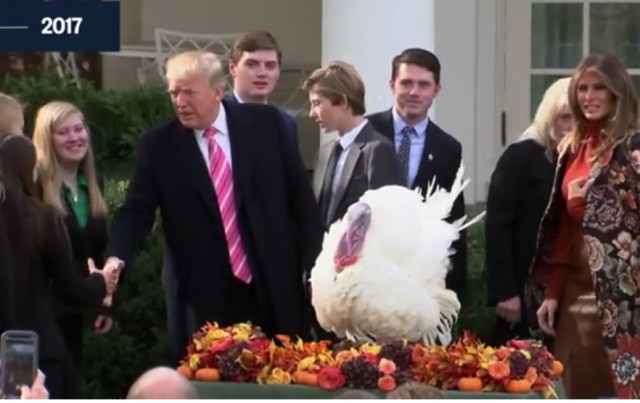 Trump Thanksgiving Turkey
 President Trump officially pardons the Thanksgiving turkeys