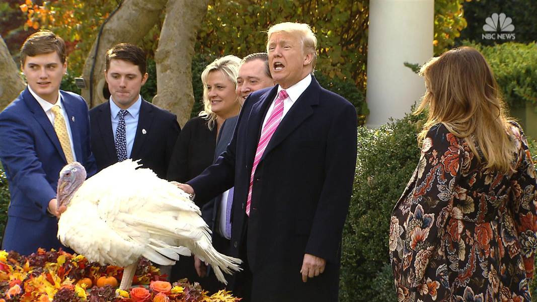 Trump Thanksgiving Turkey
 Trump pardons two Thanksgiving turkeys jokes about