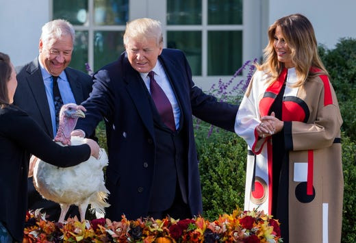 Trump Thanksgiving Turkey
 2018 turkey pardon Trump spares turkeys Peas and Carrots