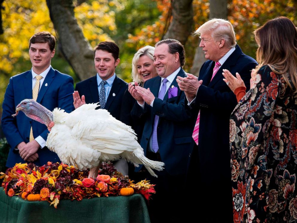 Trump Thanksgiving Turkey
 President Trump spares turkey in second pardon of