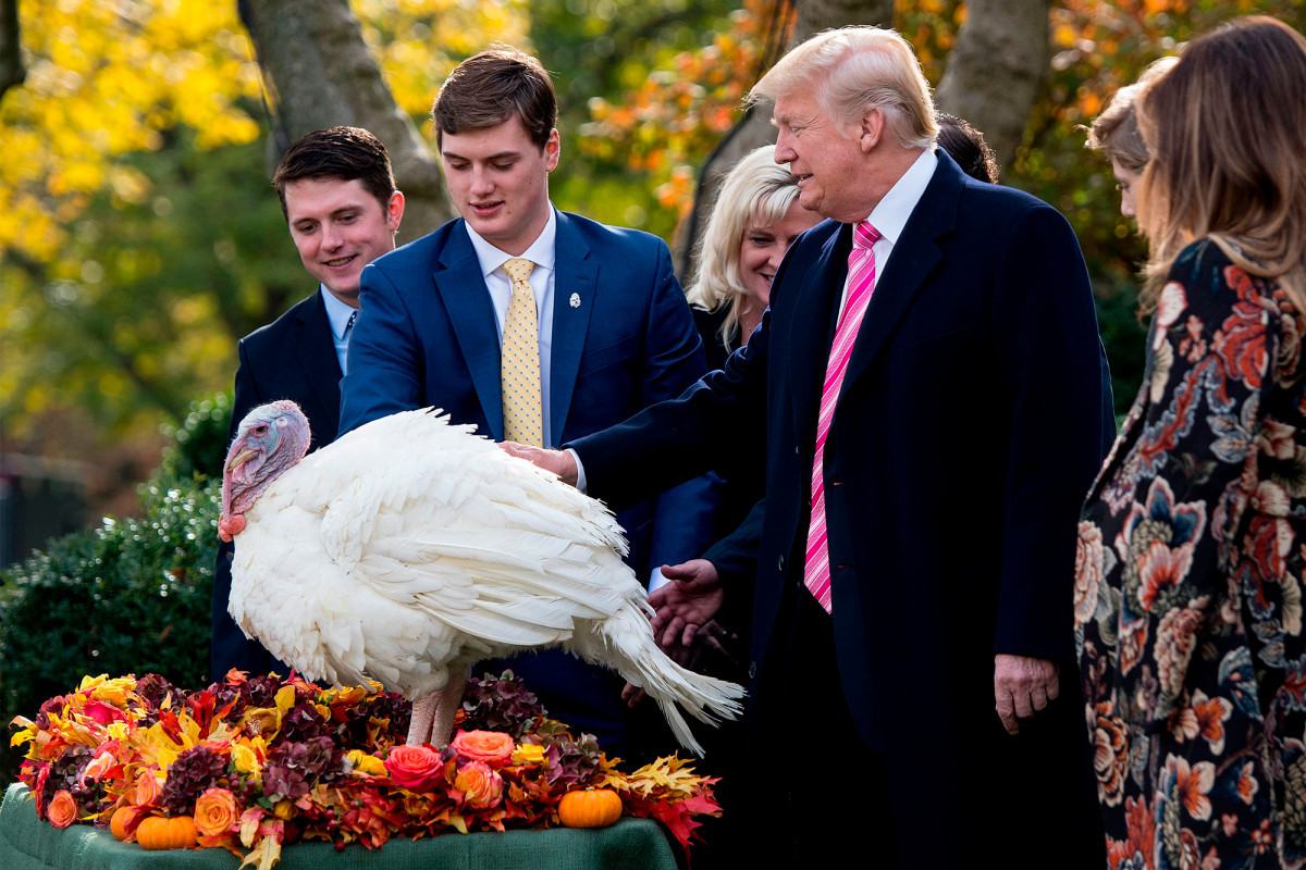 Trump Thanksgiving Turkey
 Trump pardons Thanksgiving Day turkeys