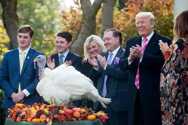 Trump Thanksgiving Turkey
 ‘Hi Drumstick ’ President Trump Pardons a Turkey and