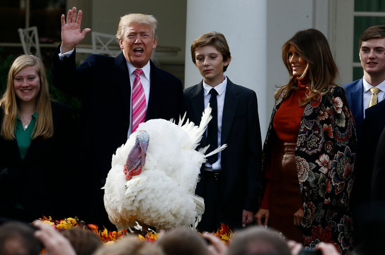 Trump Thanksgiving Turkey
 Why do presidents pardon the turkey Business Insider