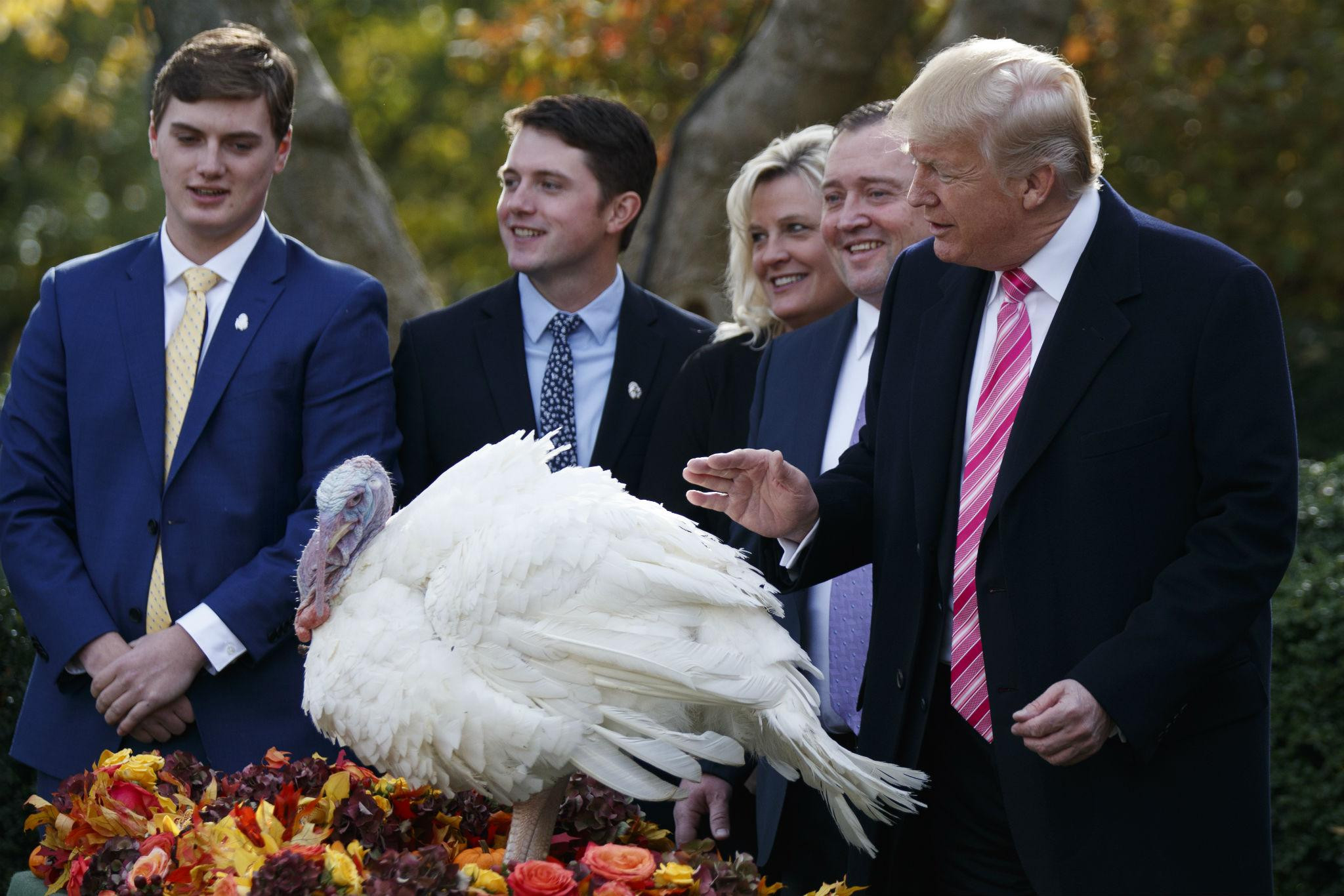 Trump Thanksgiving Turkey
 You may think everyone hates Donald Trump – but outside of