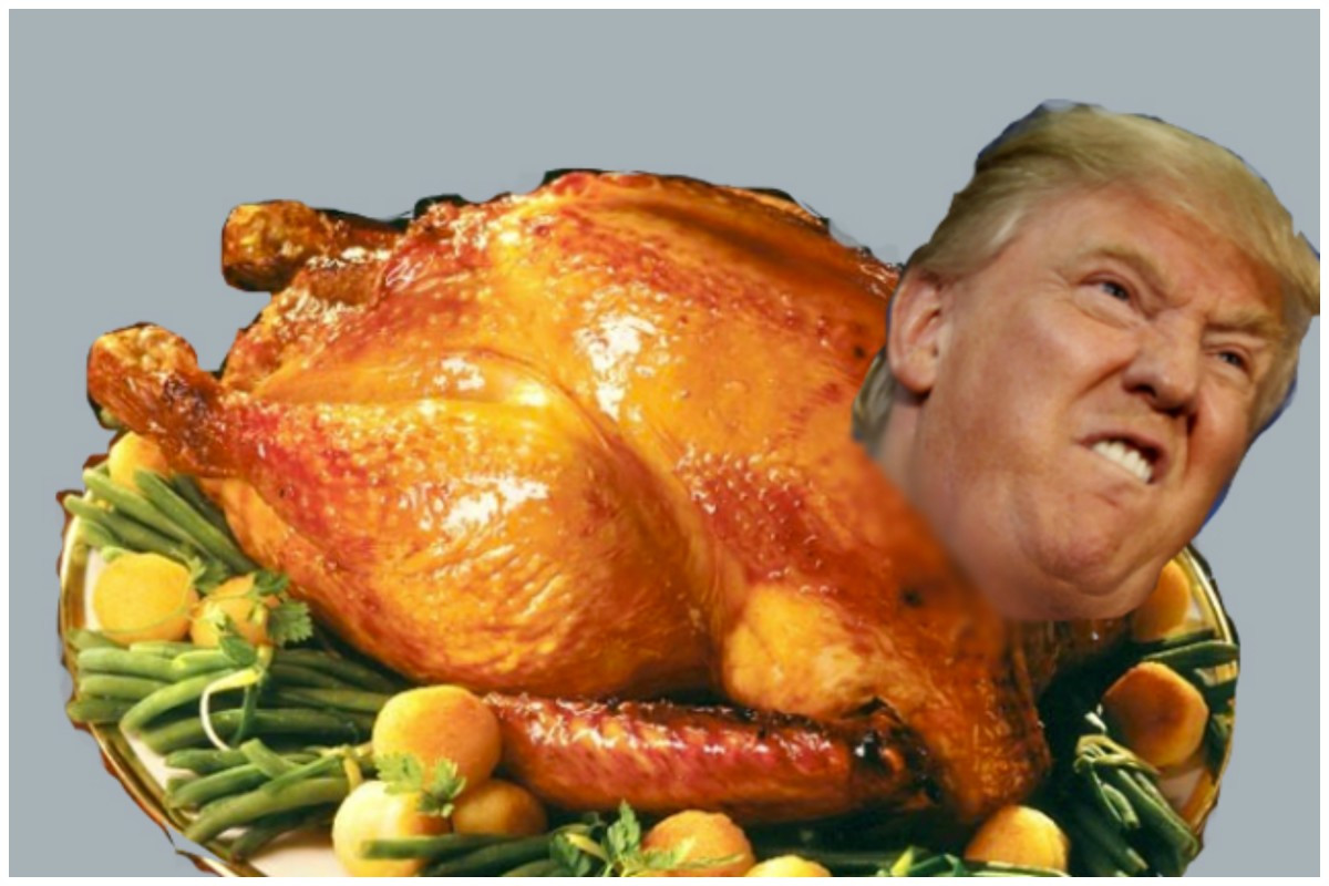 Trump Thanksgiving Turkey
 President Trump Has Lots Room To Make Thanksgiving