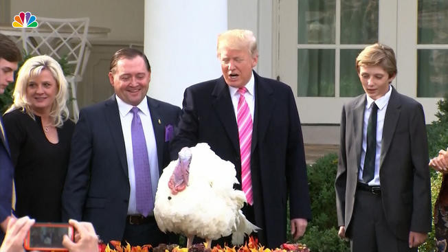 Trump Thanksgiving Turkey
 President Trump Pardons His First Thanksgiving Turkey