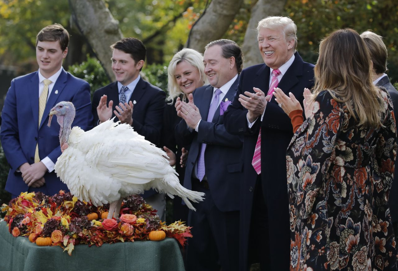 Trump Thanksgiving Turkey
 Trump pardons Drumstick the national Thanksgiving turkey