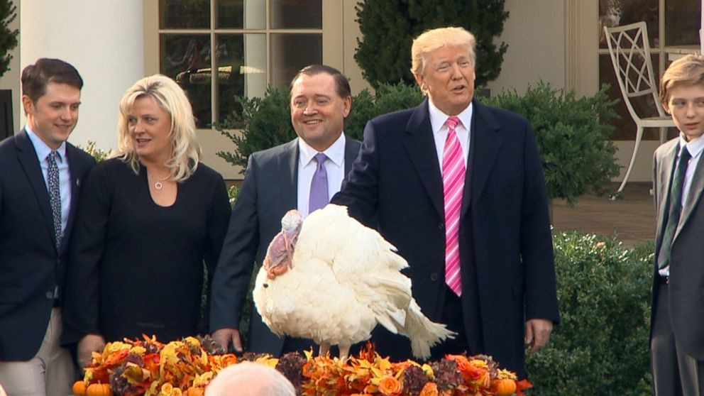 Trump Thanksgiving Turkey
 Trump pardons his 1st Thanksgiving turkey Video ABC News