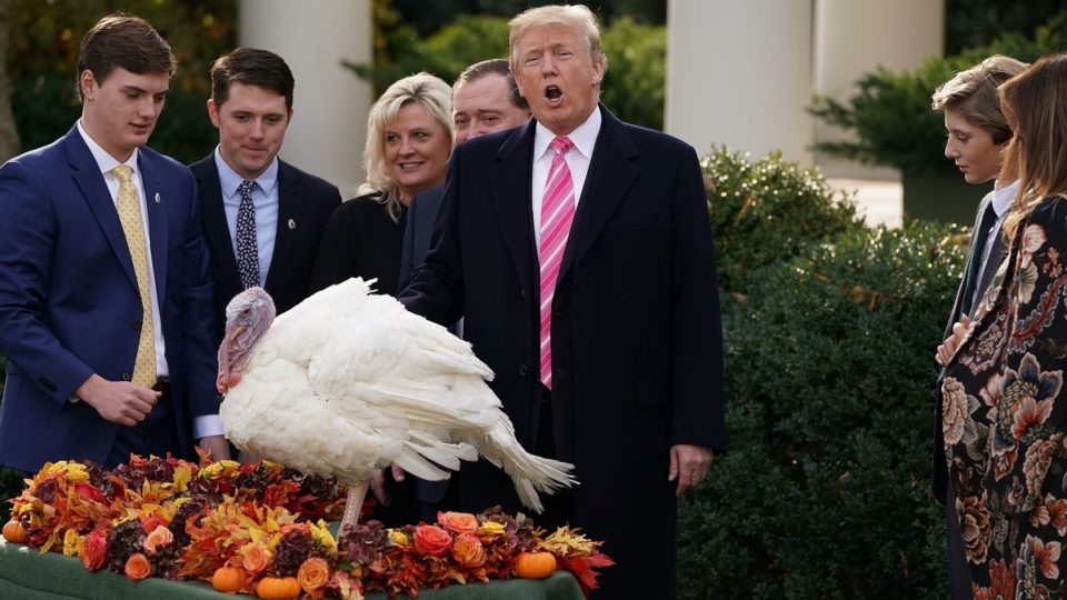 Trump Thanksgiving Turkey
 Donald Trump s bizarre Thanksgiving tribute – to himself