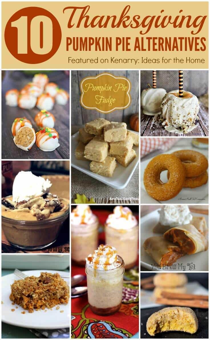 Turkey Alternatives For Thanksgiving
 Pumpkin Pie Alternatives 10 Ideas for Thanksgiving