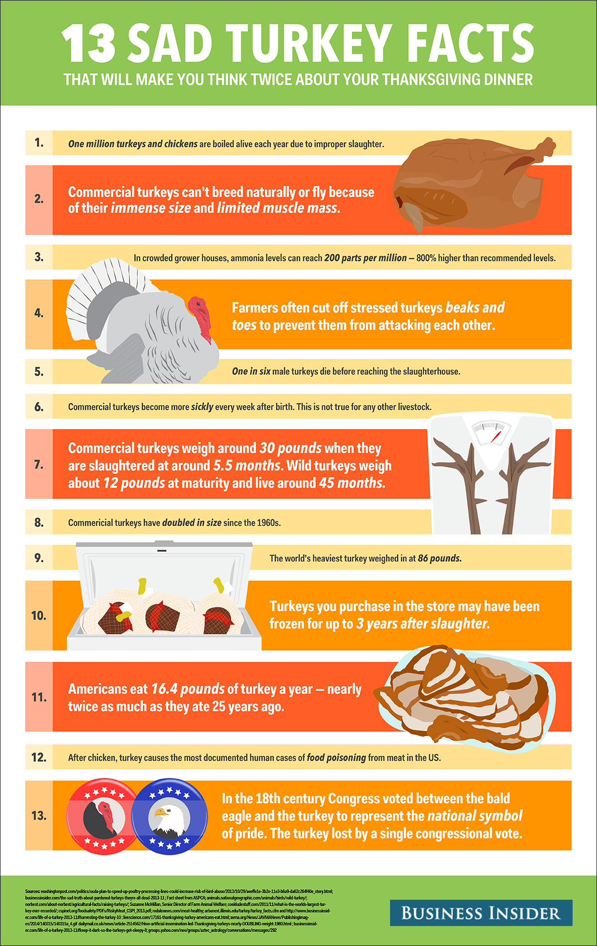 Turkey And Thanksgiving Facts
 Sad Turkey Facts Business Insider