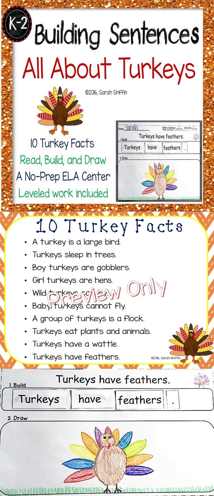 Turkey And Thanksgiving Facts
 Daughters and Kindergarten Ten Turkey Facts for Kids